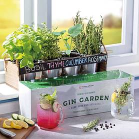 Thompson & Morgan Gin Garden - Gift